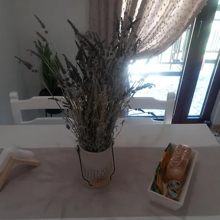 Elmar Mosaic Апартаменты